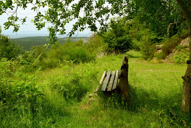 在一次采访 在一次采访