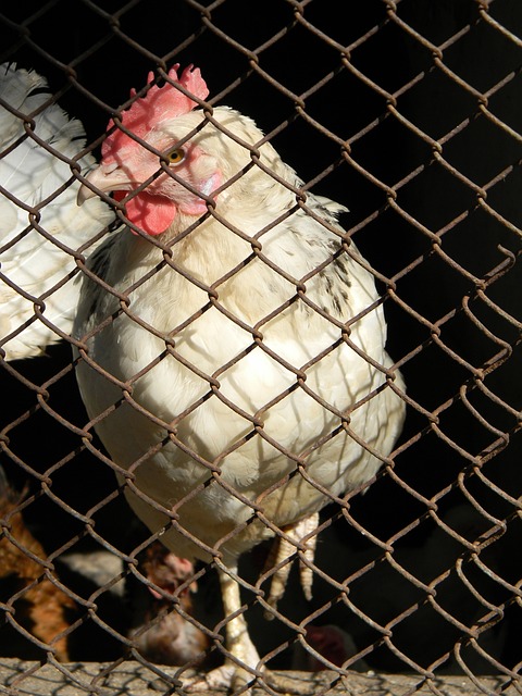 巴塞罗那与 巴塞罗那与