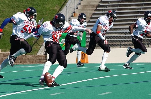 国未来走向 国未来走向