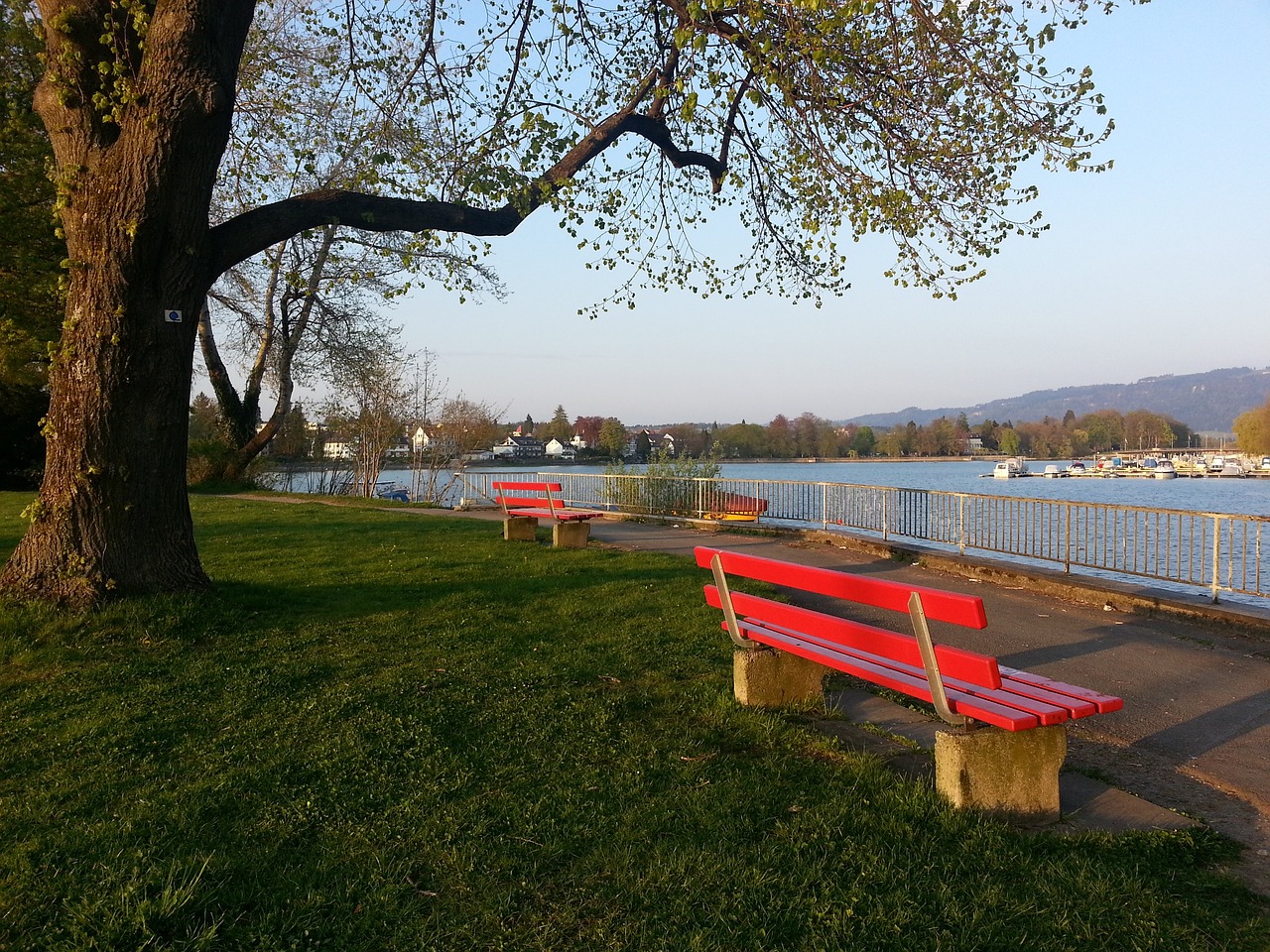 神和优秀的 神和优秀的