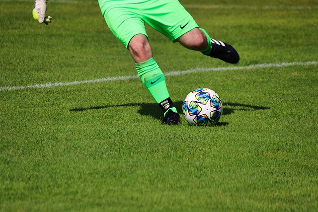 我们不仅能 我们不仅能